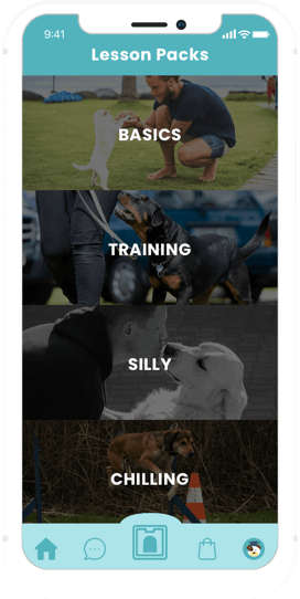 How much does it cost to create dog training app like Puppr