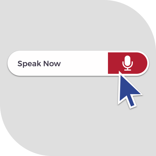 Voice Assisted Web App Development